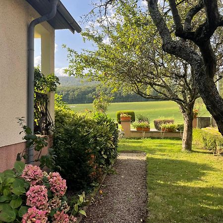 La Maison Des Roses Drachenbronn-Birlenbach Esterno foto
