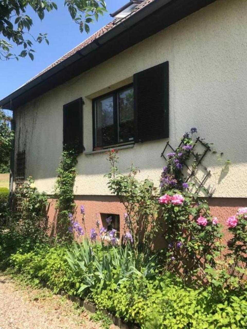 La Maison Des Roses Drachenbronn-Birlenbach Esterno foto