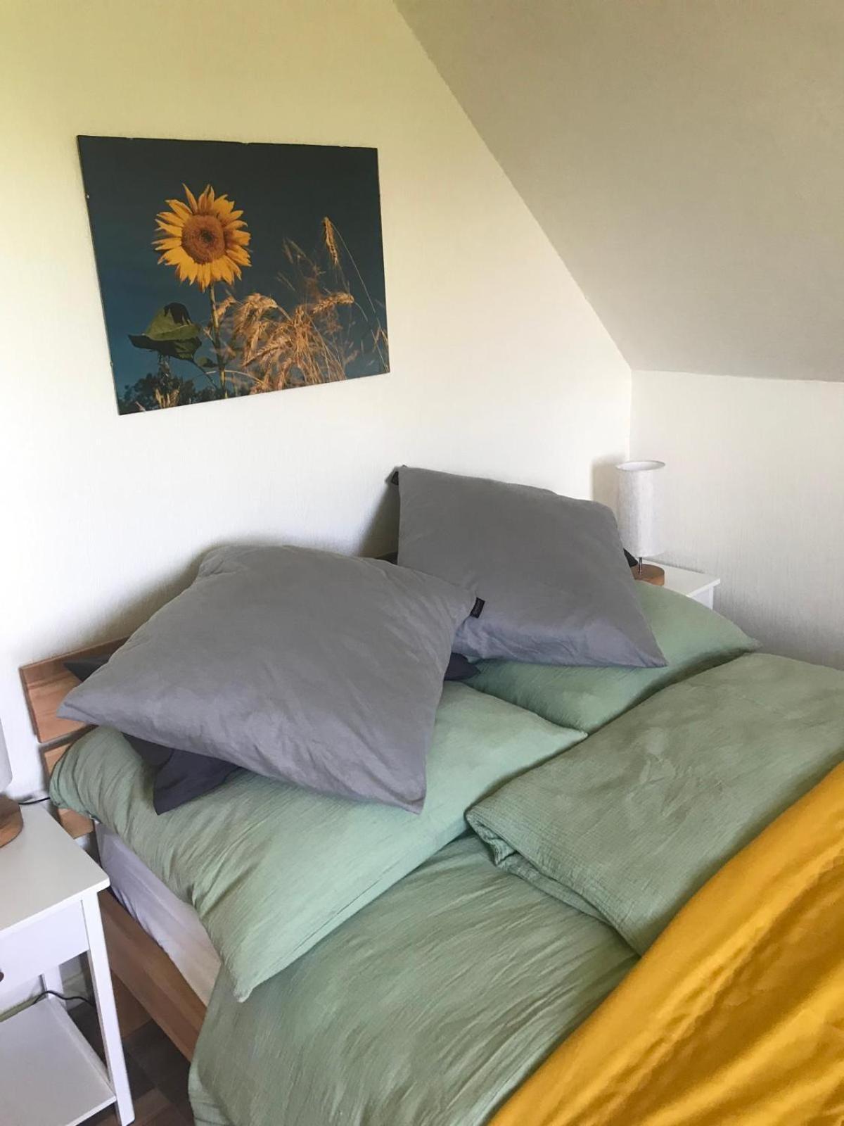 La Maison Des Roses Drachenbronn-Birlenbach Esterno foto