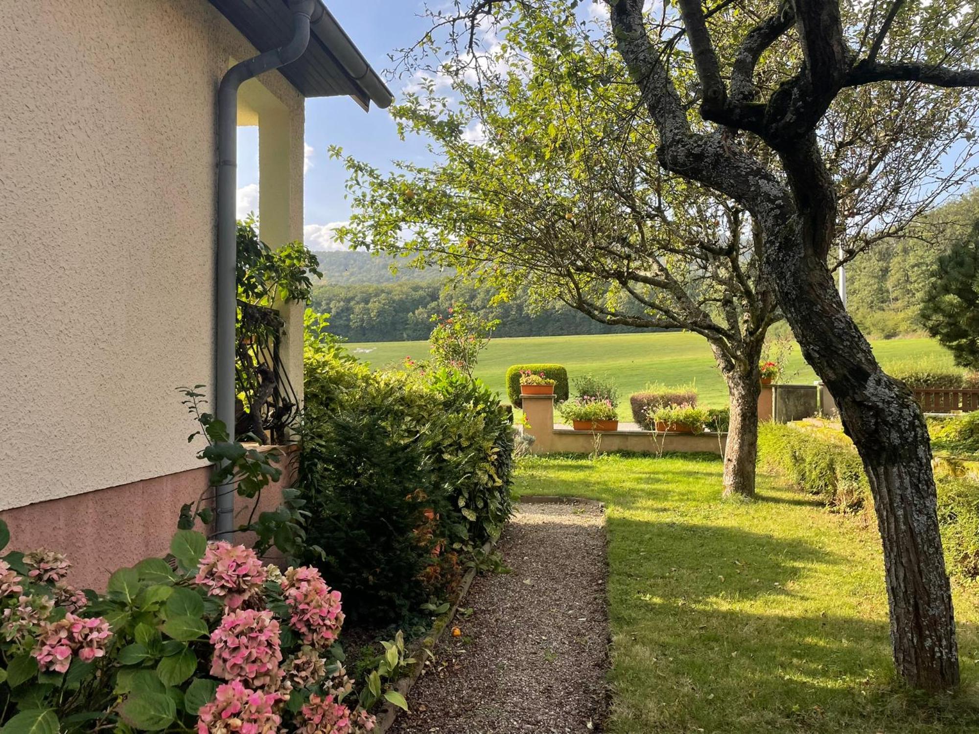 La Maison Des Roses Drachenbronn-Birlenbach Esterno foto