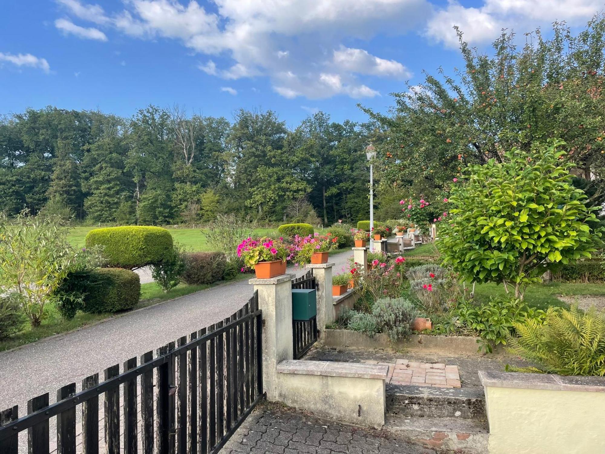 La Maison Des Roses Drachenbronn-Birlenbach Esterno foto