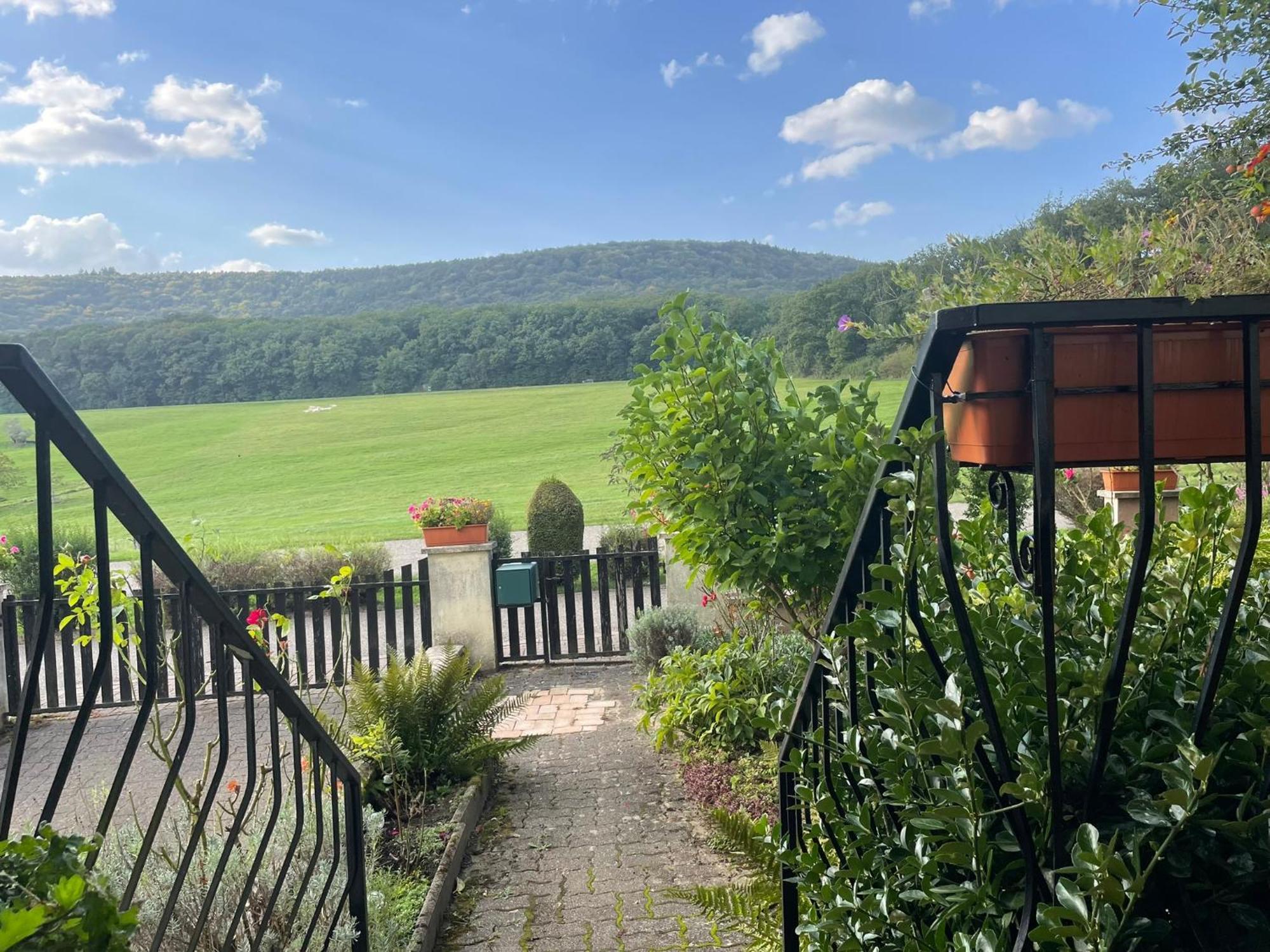 La Maison Des Roses Drachenbronn-Birlenbach Esterno foto
