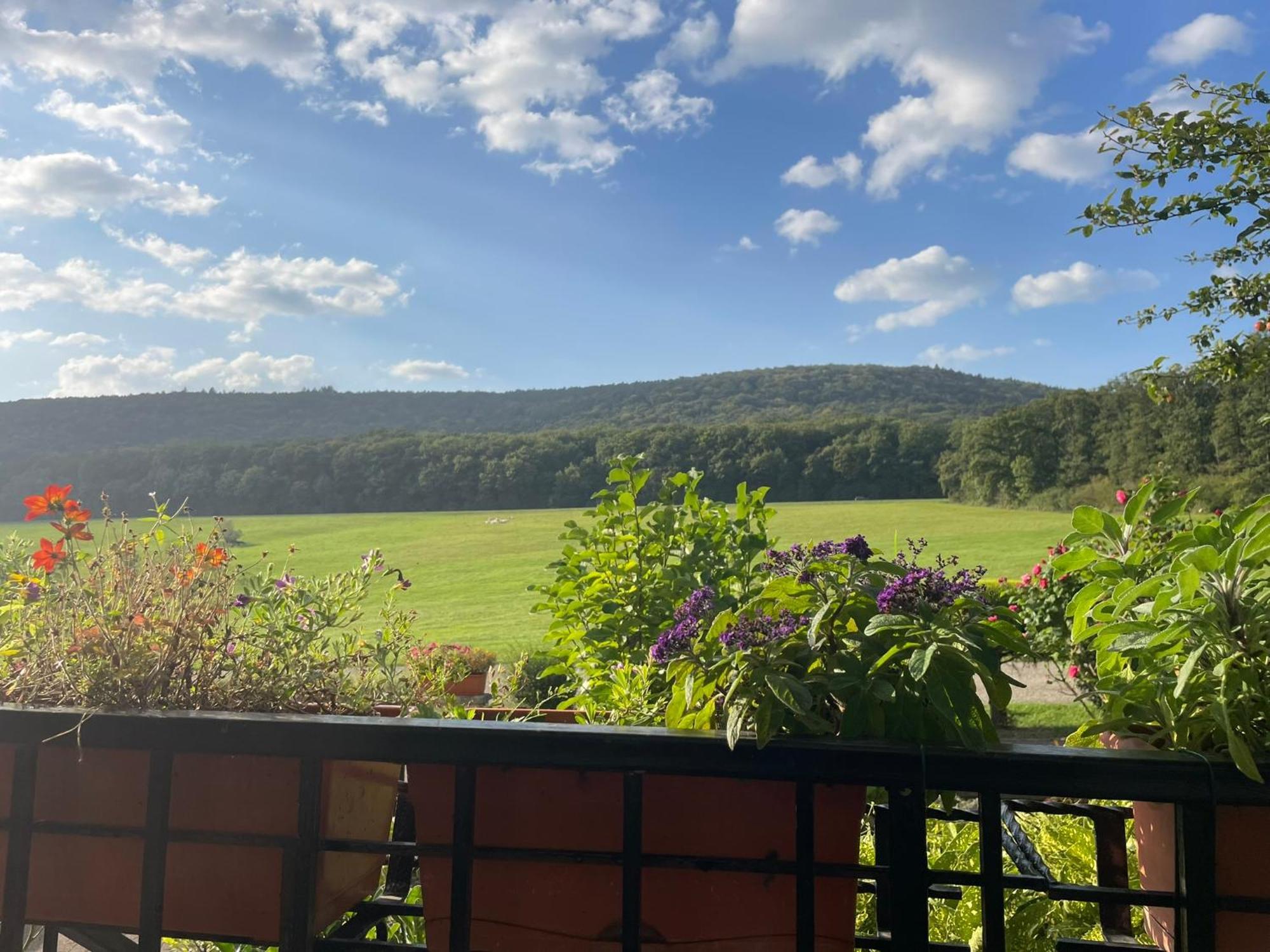 La Maison Des Roses Drachenbronn-Birlenbach Esterno foto